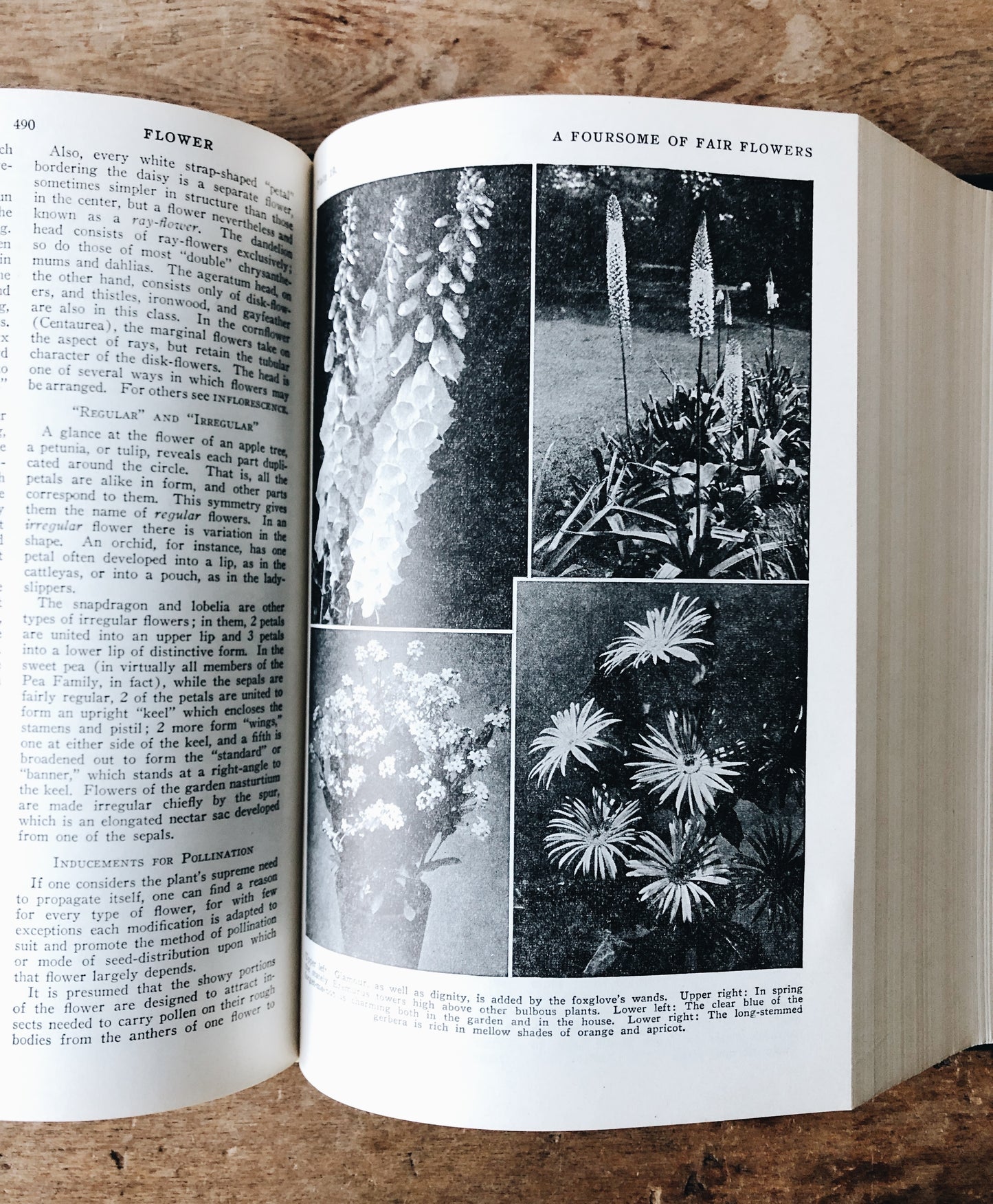 Vintage 1930s Leatherbound Gardening Encyclopedia