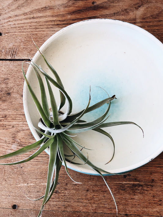 Vintage Mid Century Japanese Ikebana Dish