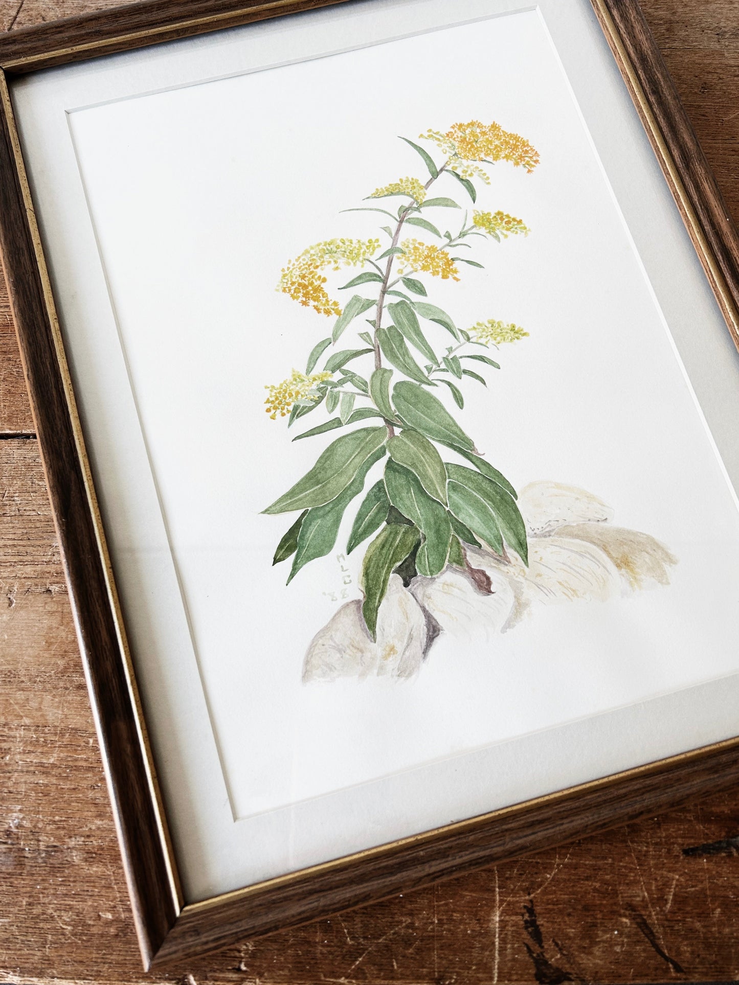 1980’s Original Watercolor Painting Goldenrod