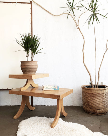 Mid Sized Potted Dracaena