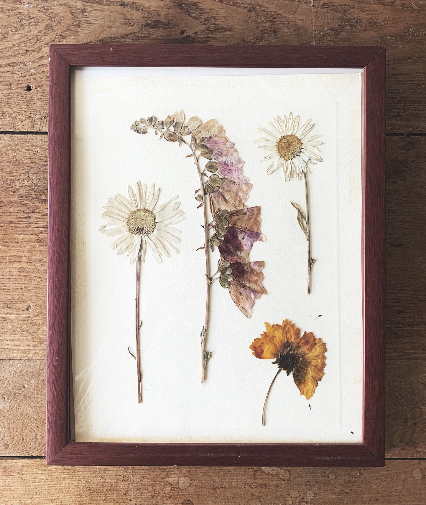 Vintage Framed Dried Flower Art