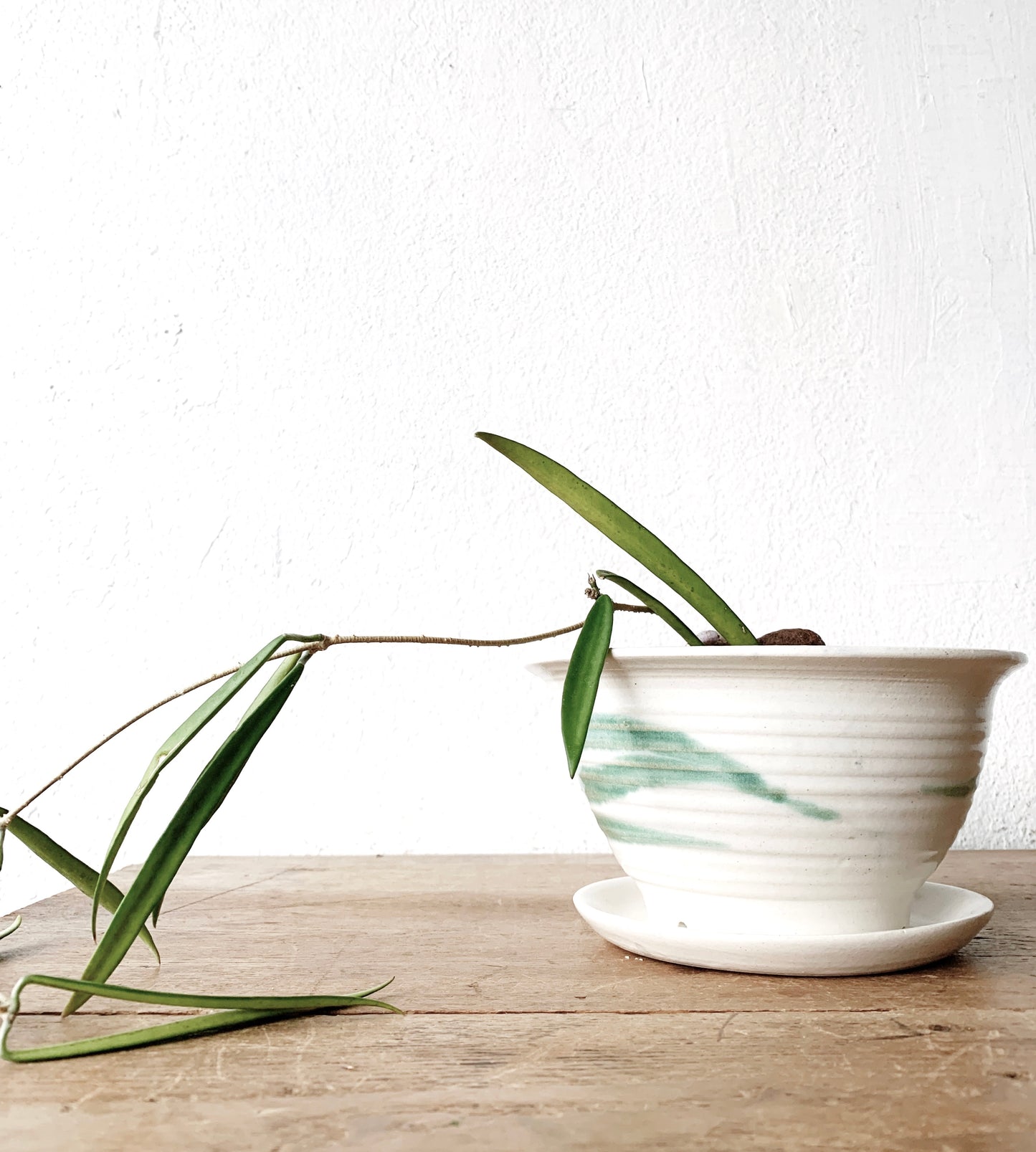 Handmade Ceramic Plant Pot