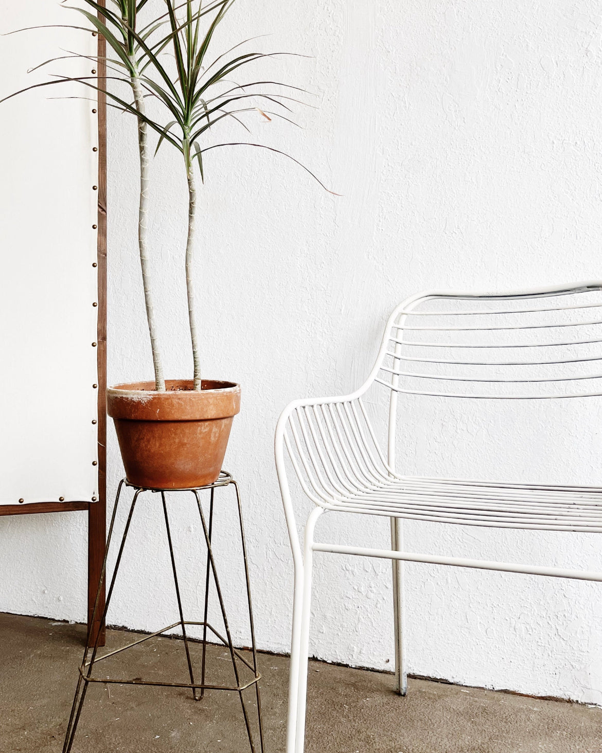Mid Century Plant Stand