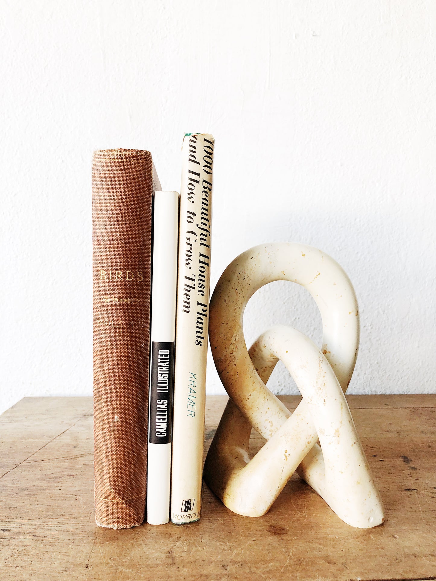 Antique 1800s Birds Book