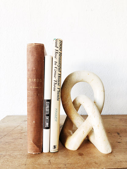 Antique 1800s Birds Book