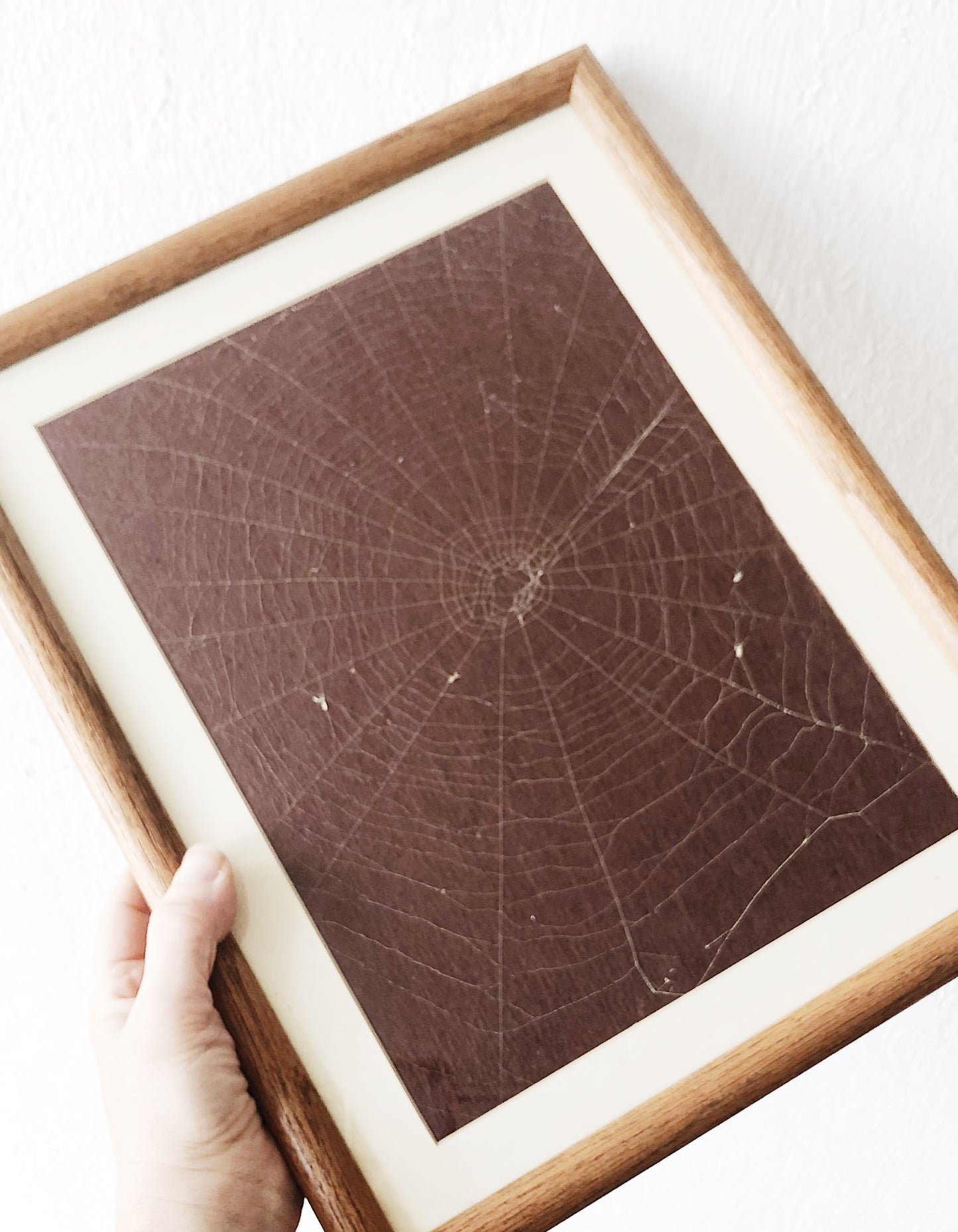 Amazing Spider Web Art