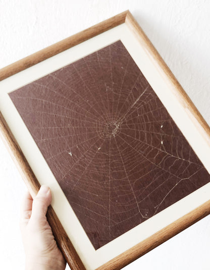 Amazing Spider Web Art