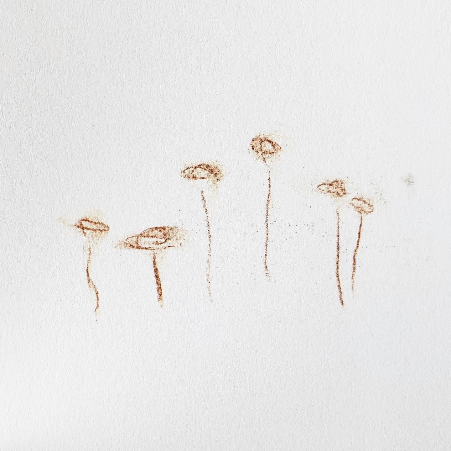 Yoko Ono : An Invisible Flower