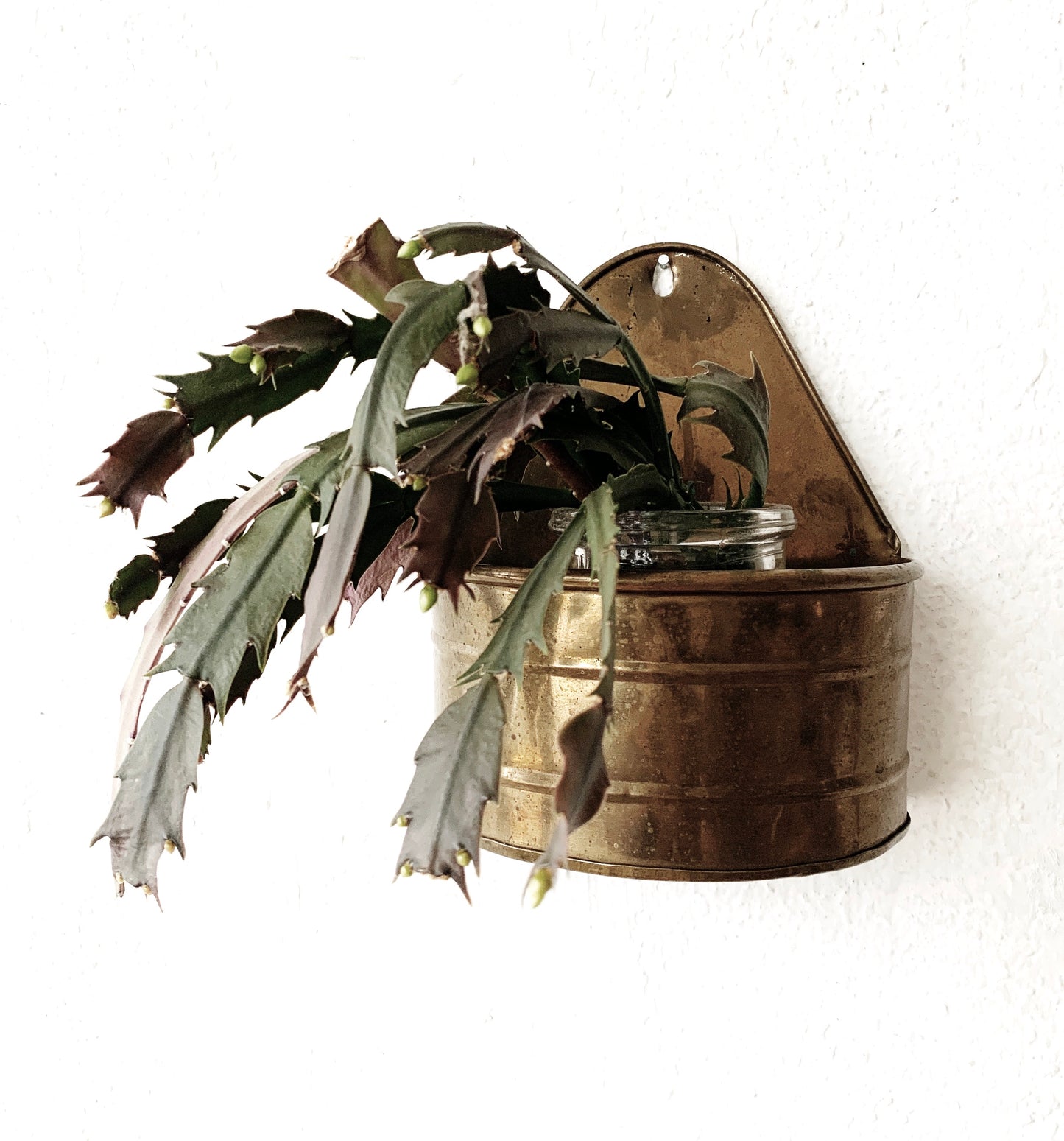 Vintage Brass Wall Planter