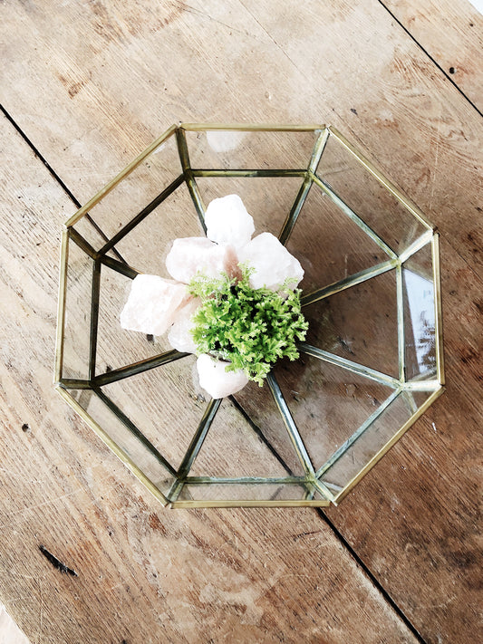 Vintage Octagonal Glass Terrarium