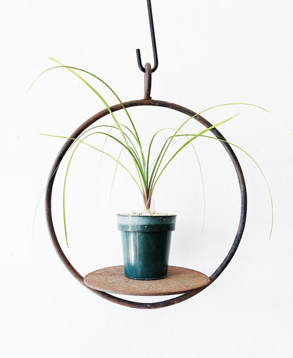Vintage Cast Iron Circular Hanging Shelf