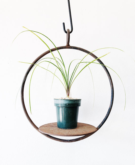 Vintage Cast Iron Circular Hanging Shelf