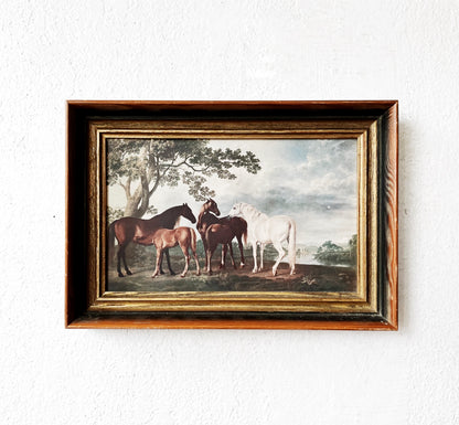 Vintage George Stubbs Litho