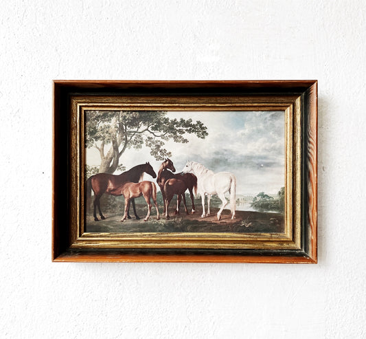 Vintage George Stubbs Litho