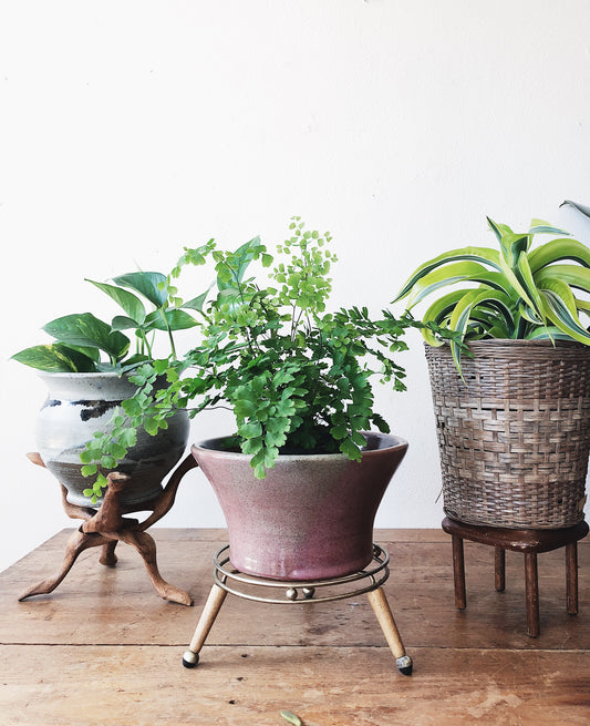 Set of Three Vintage Plant Stands