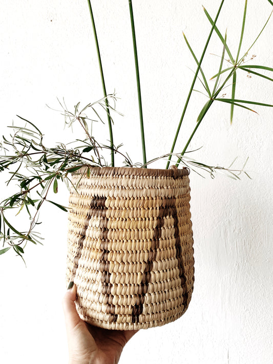 Graphic Coil Plant Basket