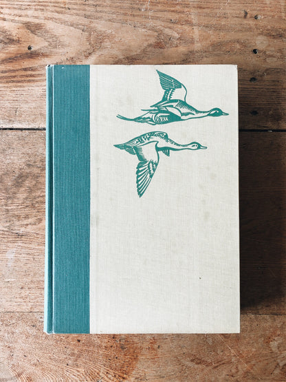 Vintage 1930s Birds of America Book
