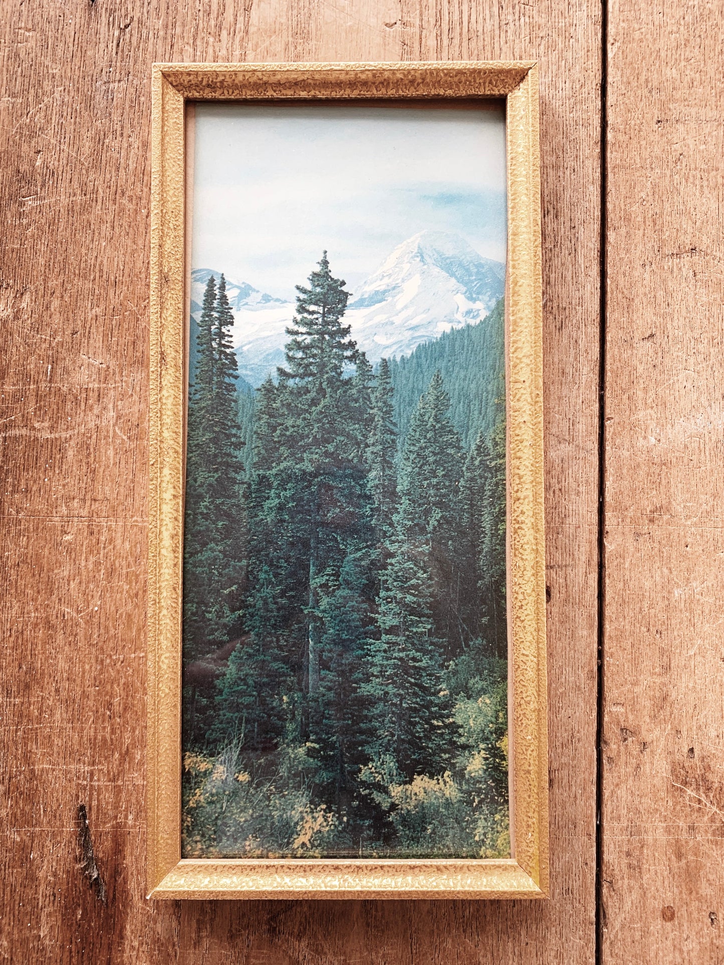 Vintage Framed Landscape Print