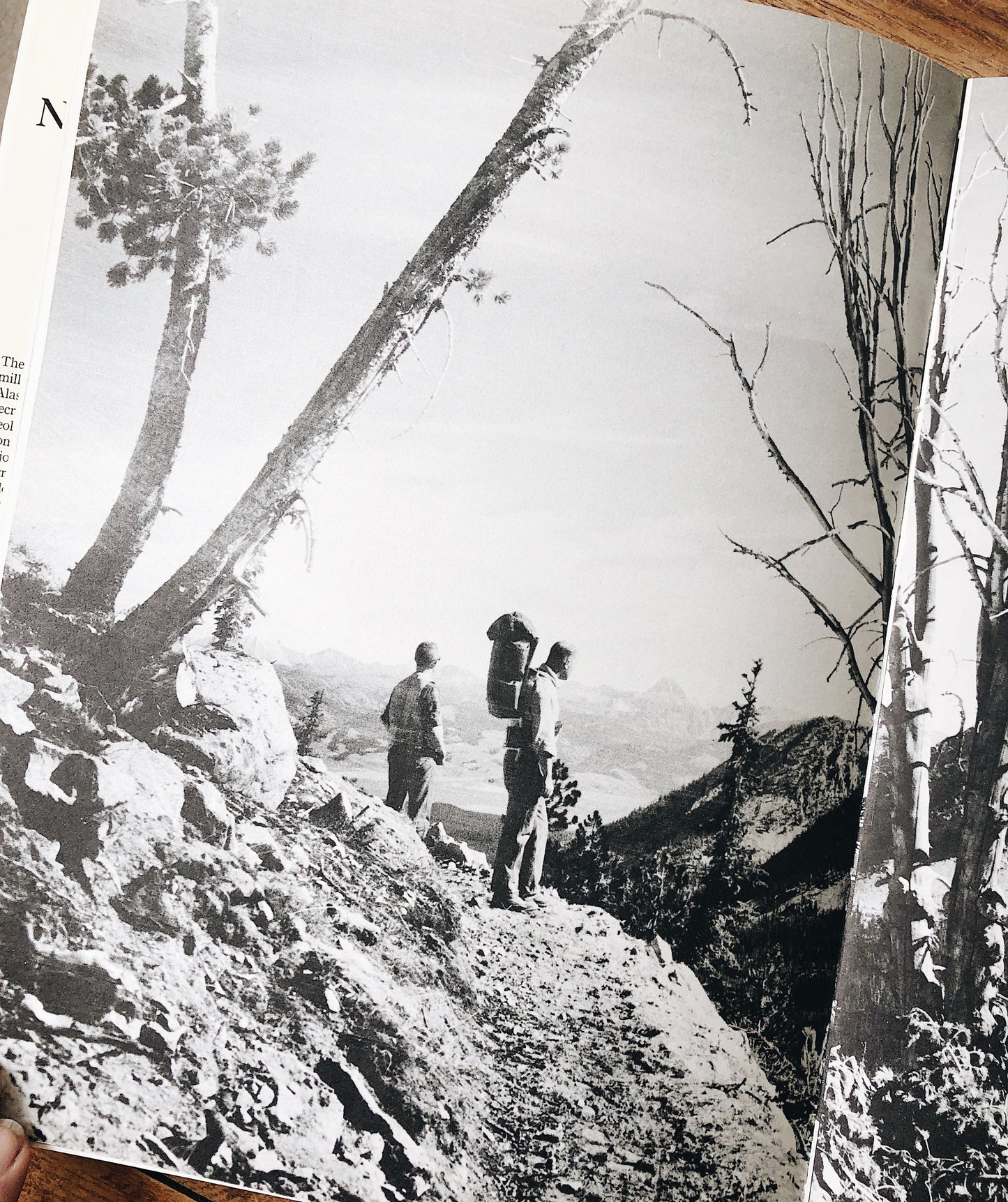 Vintage National Forests of America Book