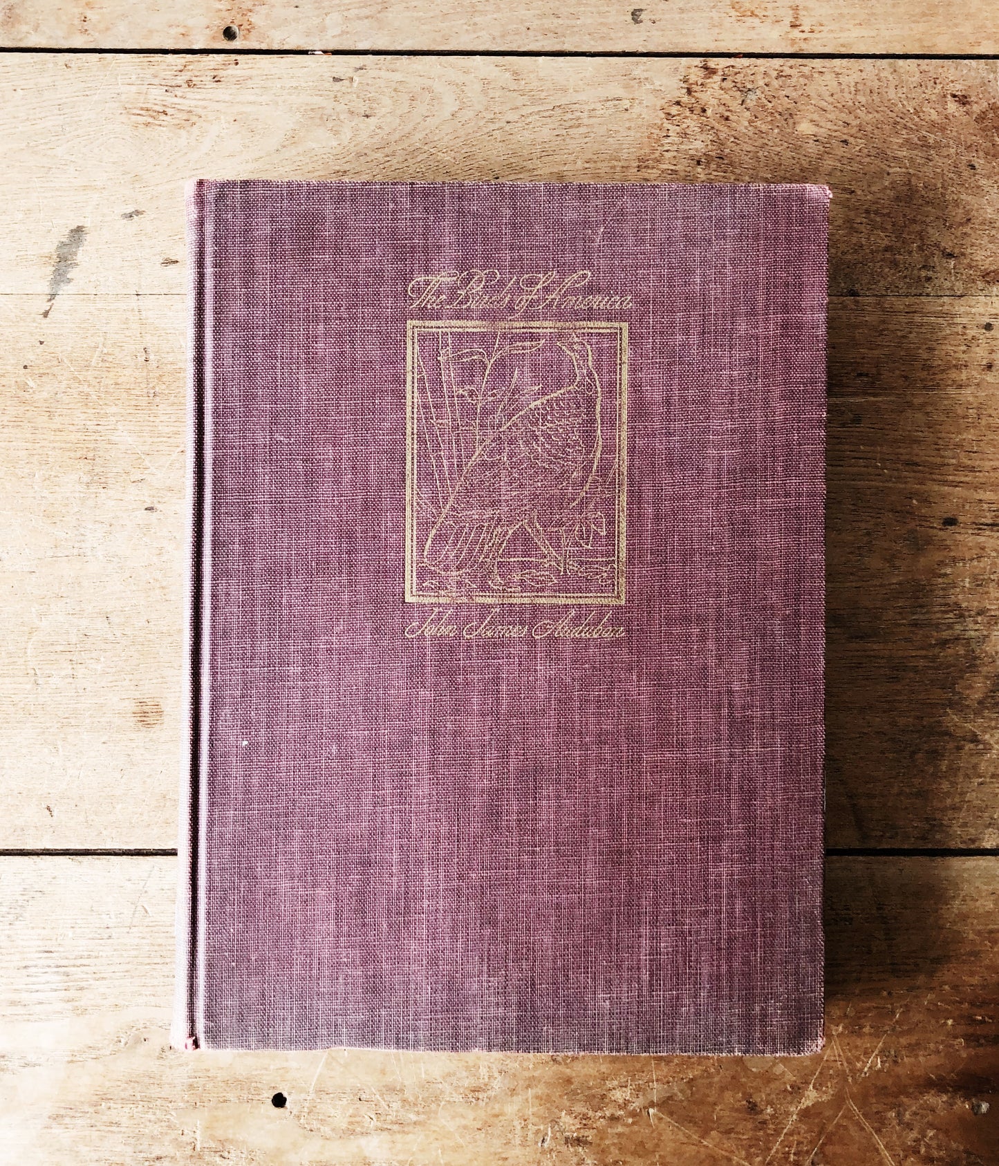 1940s The Birds of America by John Audubon