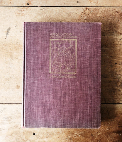 1940s The Birds of America by John Audubon