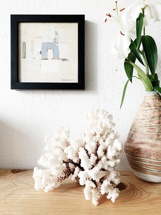 Large Natural Coral Specimen