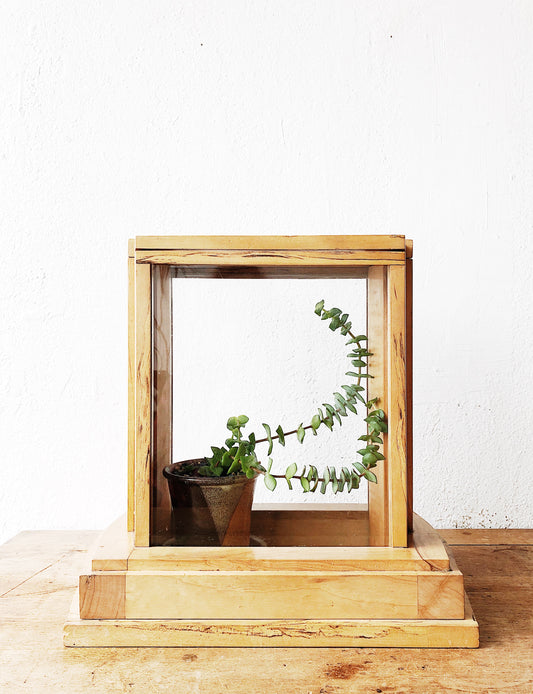 Vintage Wood Display Case or Terrarium