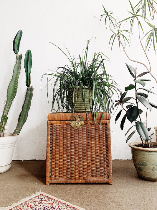 Vintage Wicker Trunk