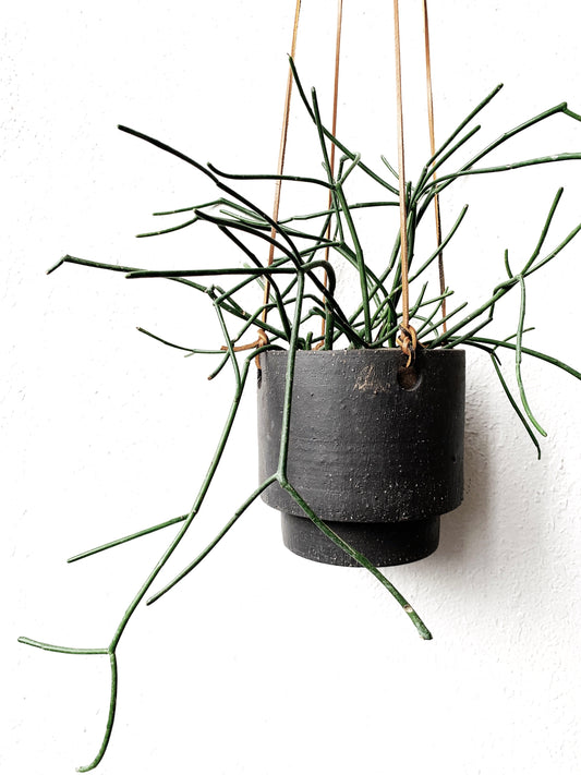 RESERVED Hanging Pot