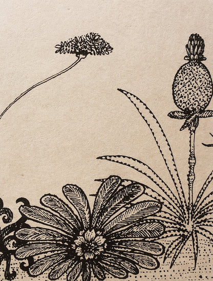 Vintage Win Ng Illustration