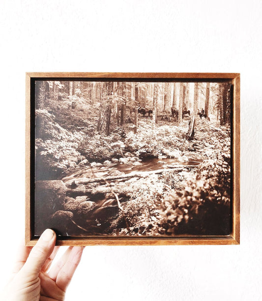 Framed Antique Film Photo