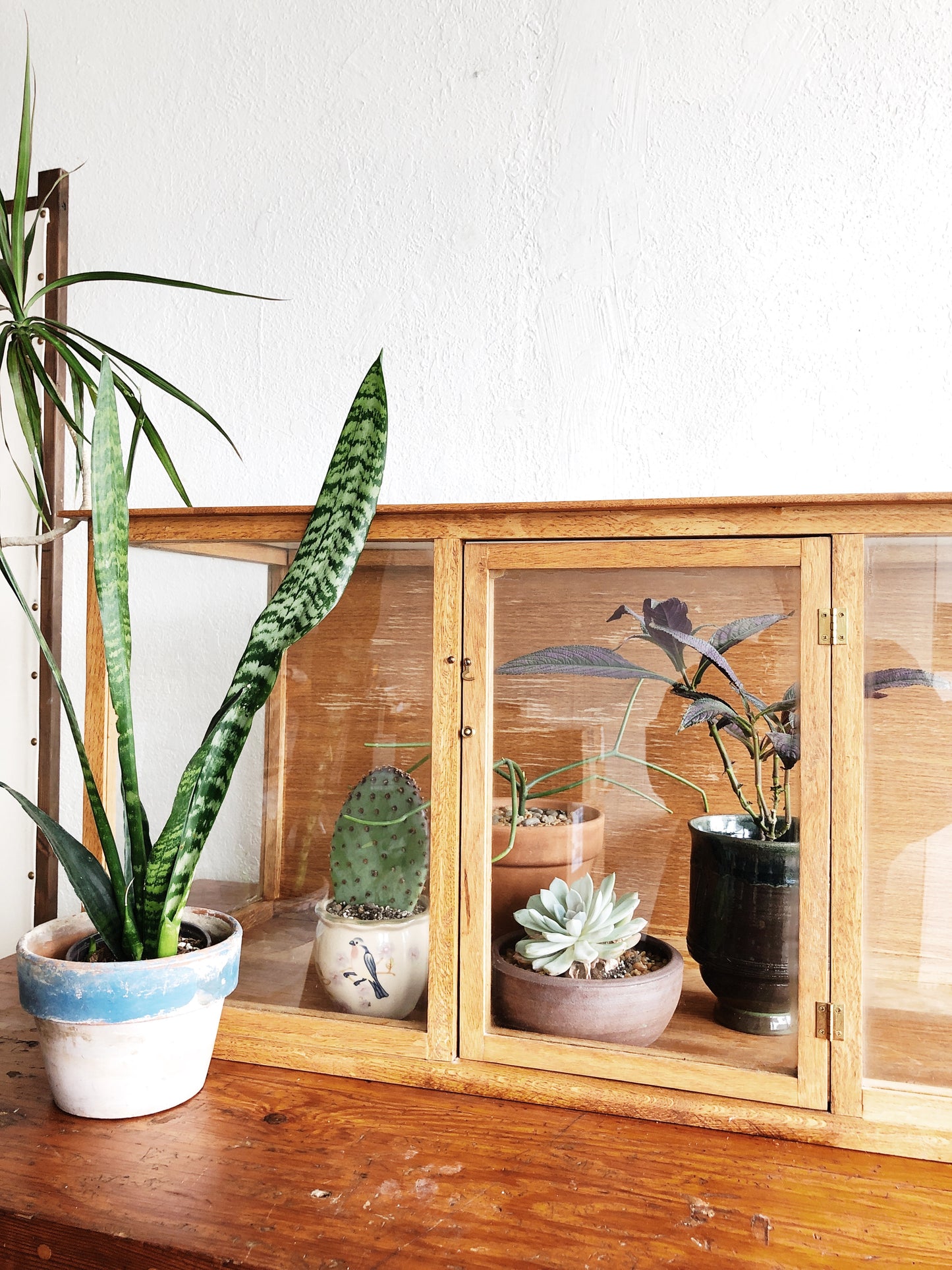Vintage Glass and Wood Display Case