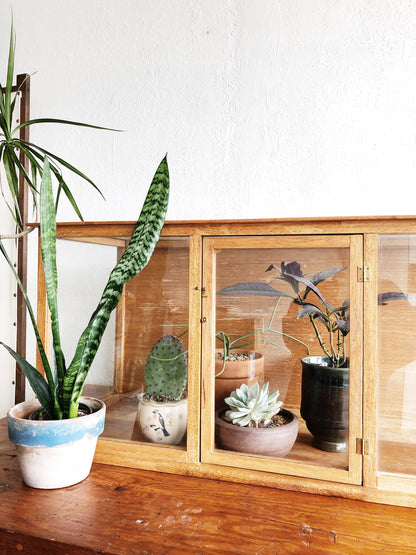 Vintage Glass and Wood Display Case