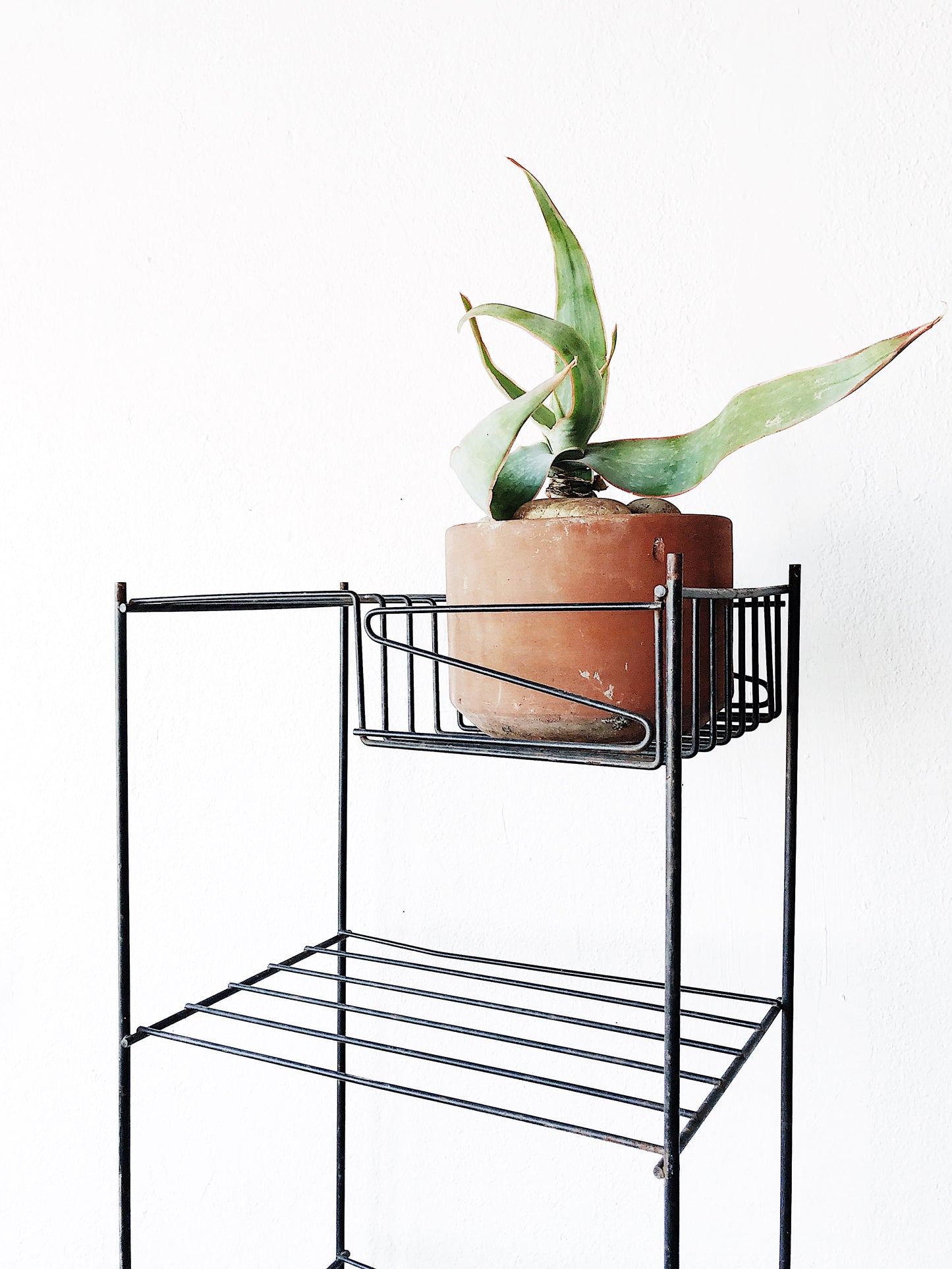 Vintage Mid Century Black Wire Stand