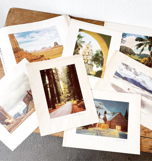 Vintage See Your West Folio