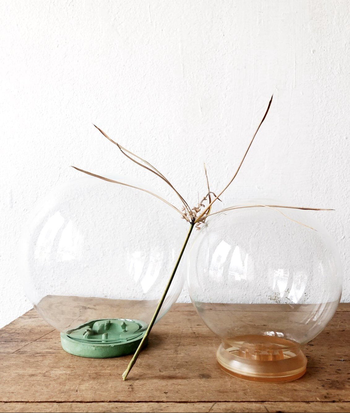 Vintage Plant Aquarium