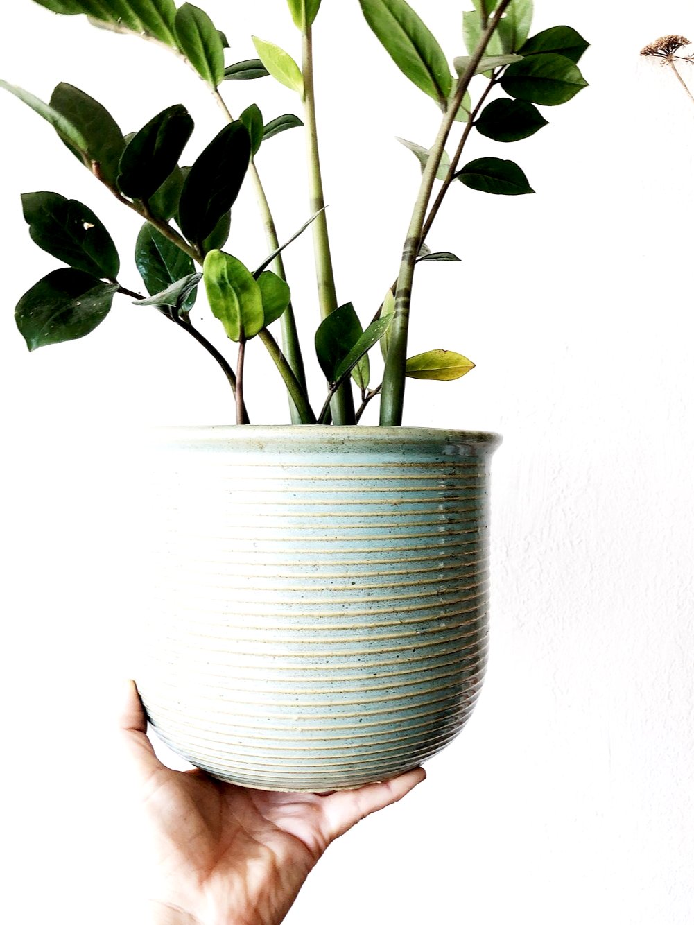 Vintage Ceramic Planter