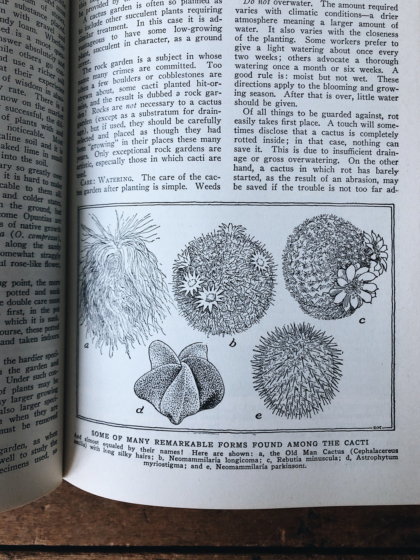 Vintage 1930s Leatherbound Gardening Encyclopedia