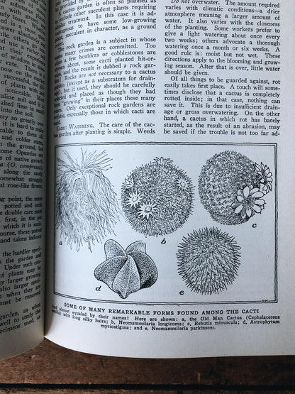 Vintage 1930s Leatherbound Gardening Encyclopedia