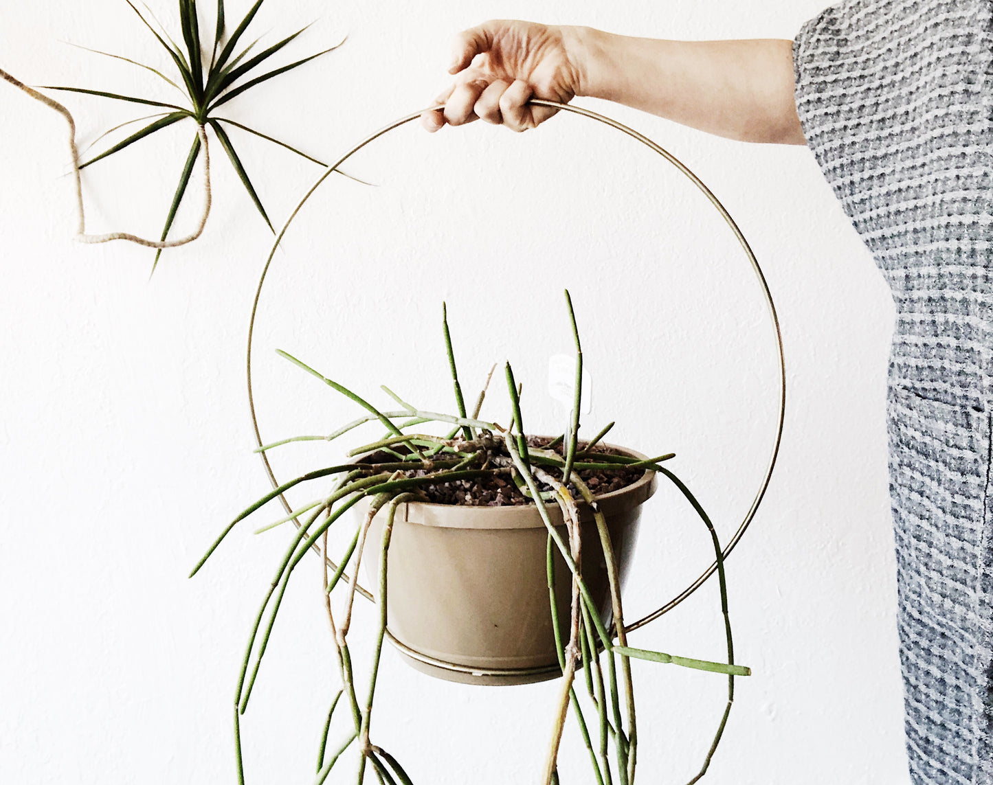 Vintage Minimal Chrome Circle Planter