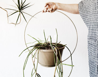 Vintage Minimal Chrome Circle Planter
