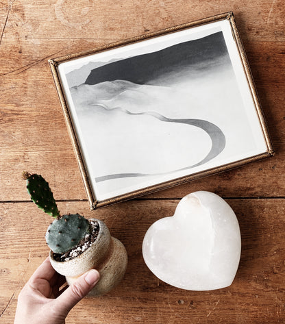 Vintage Framed Georgia O’Keeffe