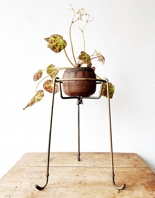 Mid Century Plant Stands