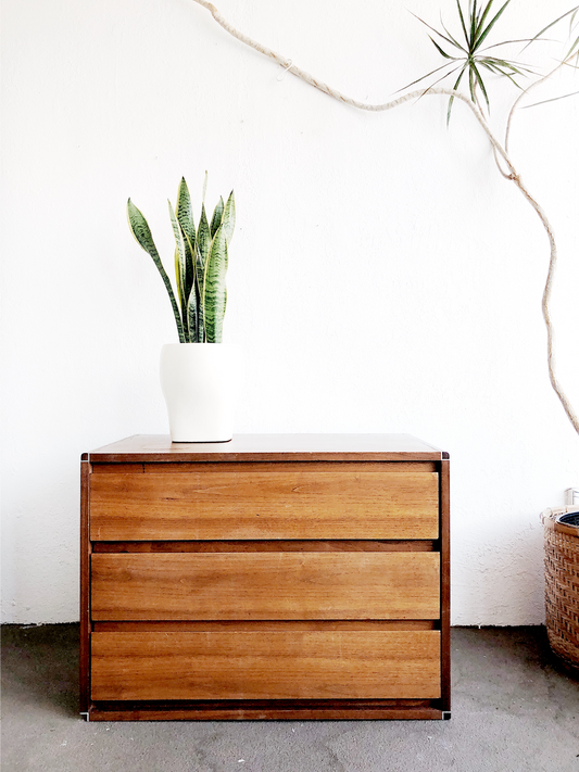 Mid Century Scandinavian Barzilay Chest