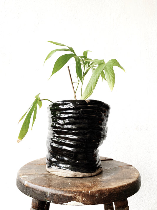 Handmade Black Coil Stoneware Pot
