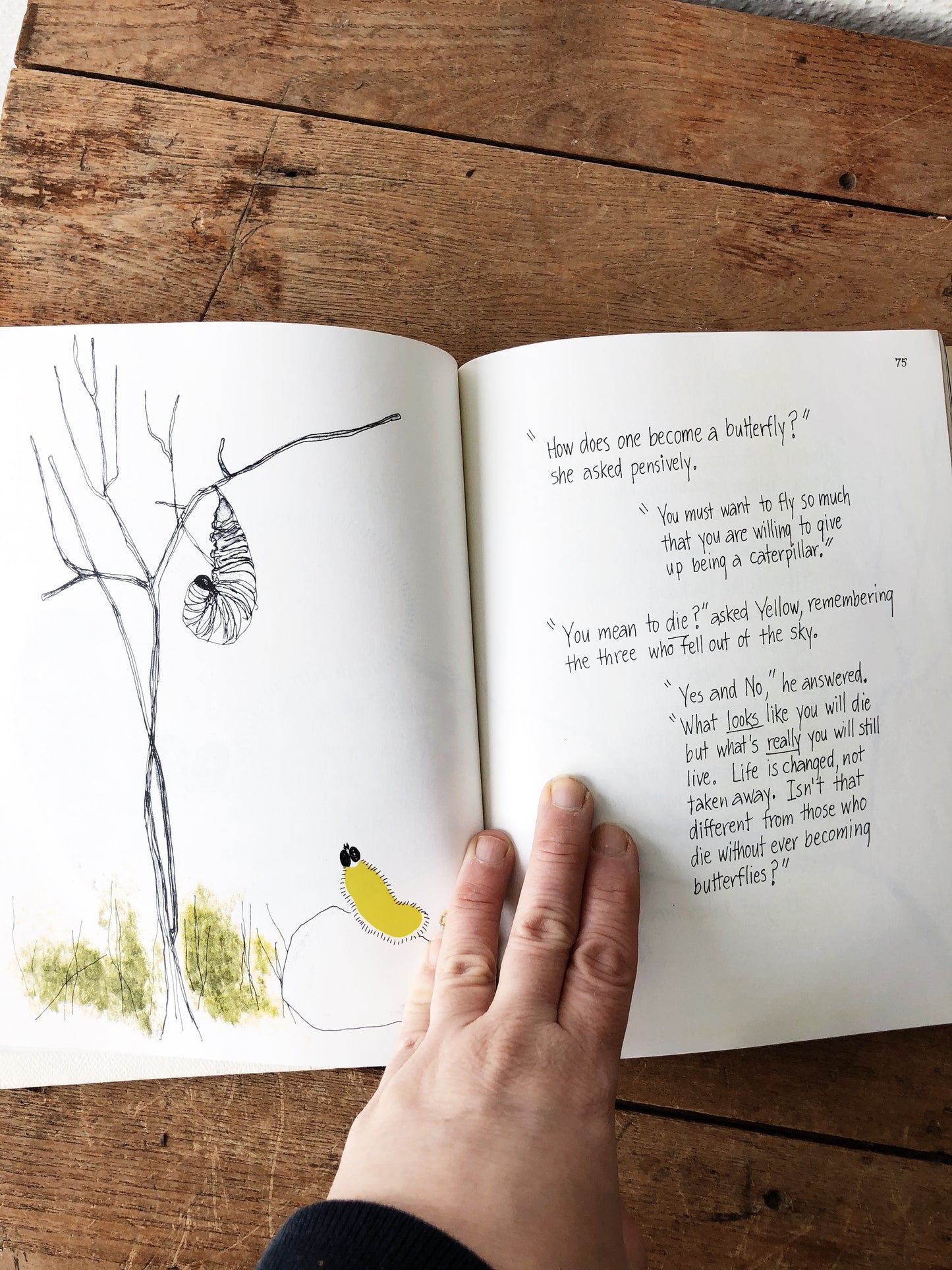 Hope for the Flowers