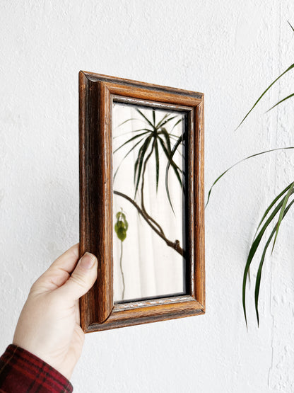Vintage Polarized Mirror