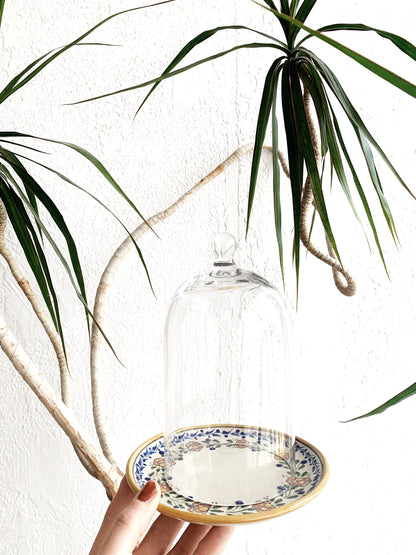 Vintage Hand Painted Dish with Glass Cloche
