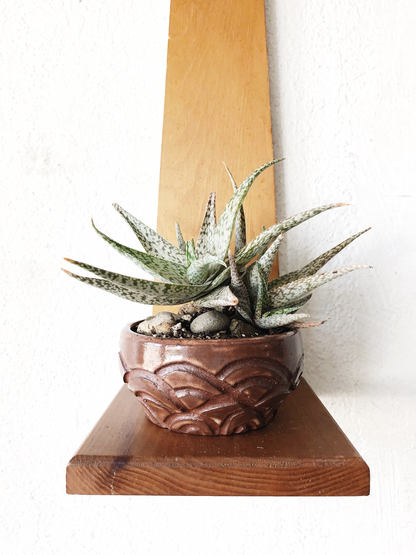 Vintage Maple Shelf