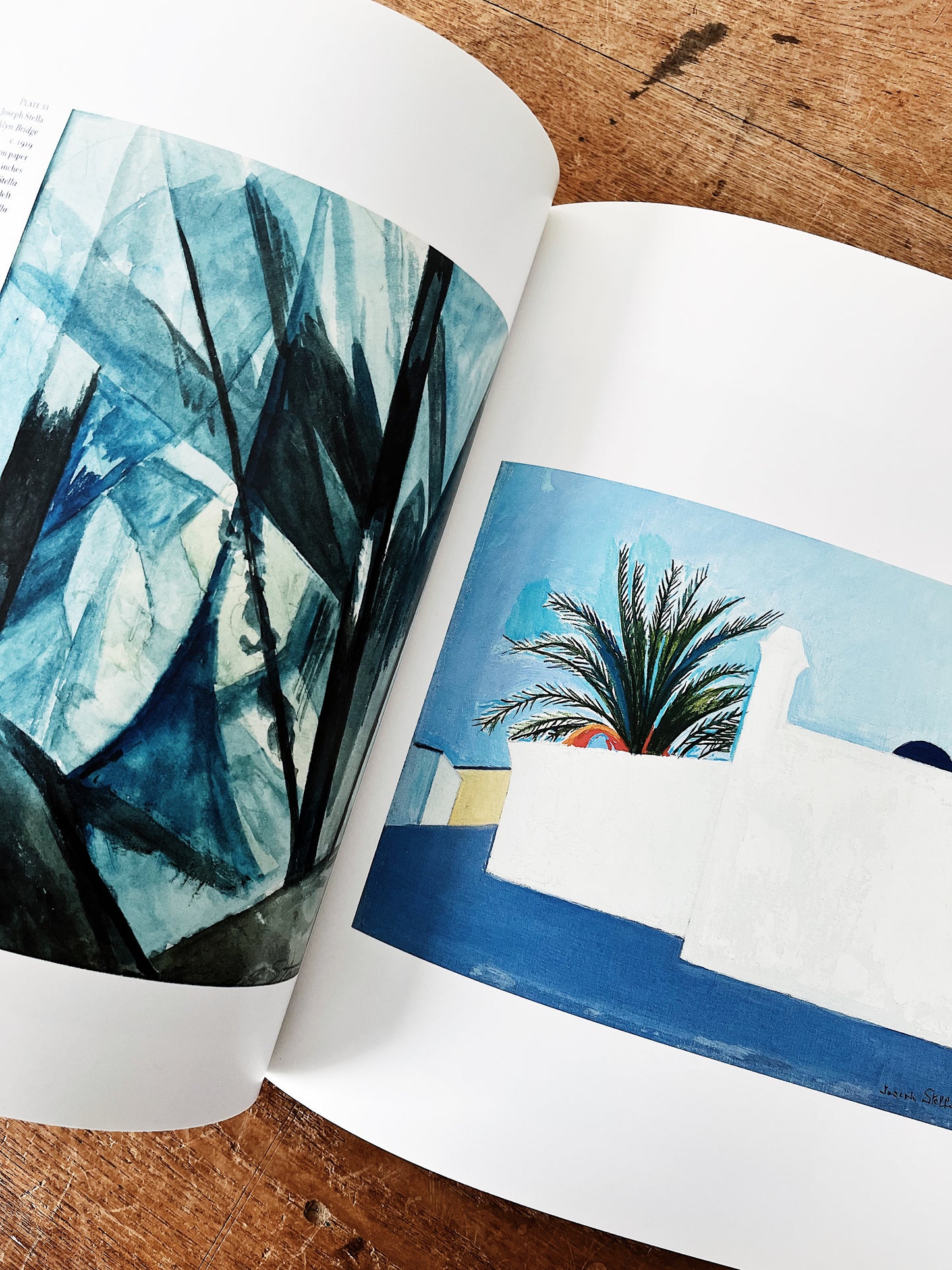 American Modernist Art Book